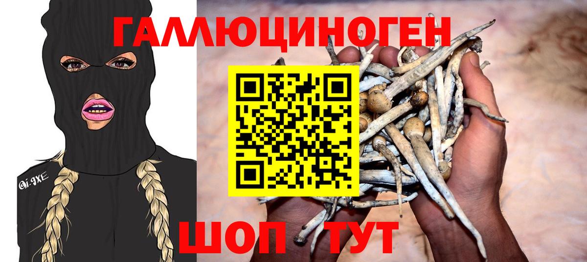 Галлюциногенные грибы GOLDEN TEACHER  закладки  Кузнецк  Галлюциногенные грибы Magic Shrooms  Вход с VPN 