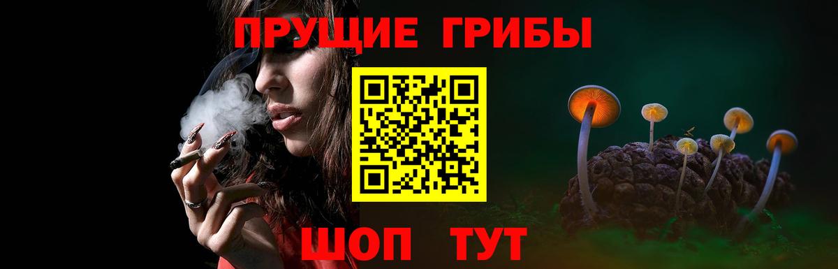 Галлюциногенные грибы мицелий Кузнецк
